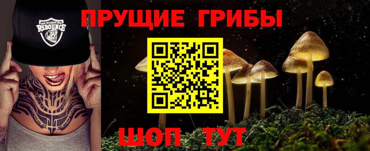 Галлюциногенные грибы GOLDEN TEACHER Озёры