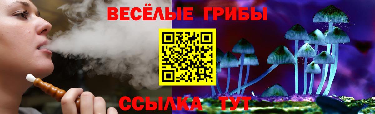 Галлюциногенные грибы Psilocybe  Вход с VPN  Озёры 